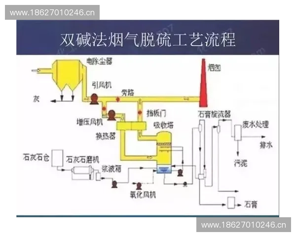 运动员合同签订流程解析及其对职业生涯的影响分析