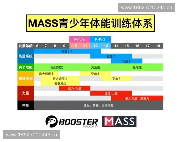 运动生理视角下人体机能适应与训练效果优化研究